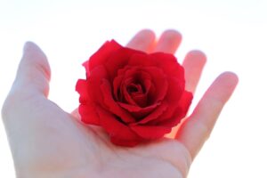 夏フェスで忘れがちなアイテムとは？