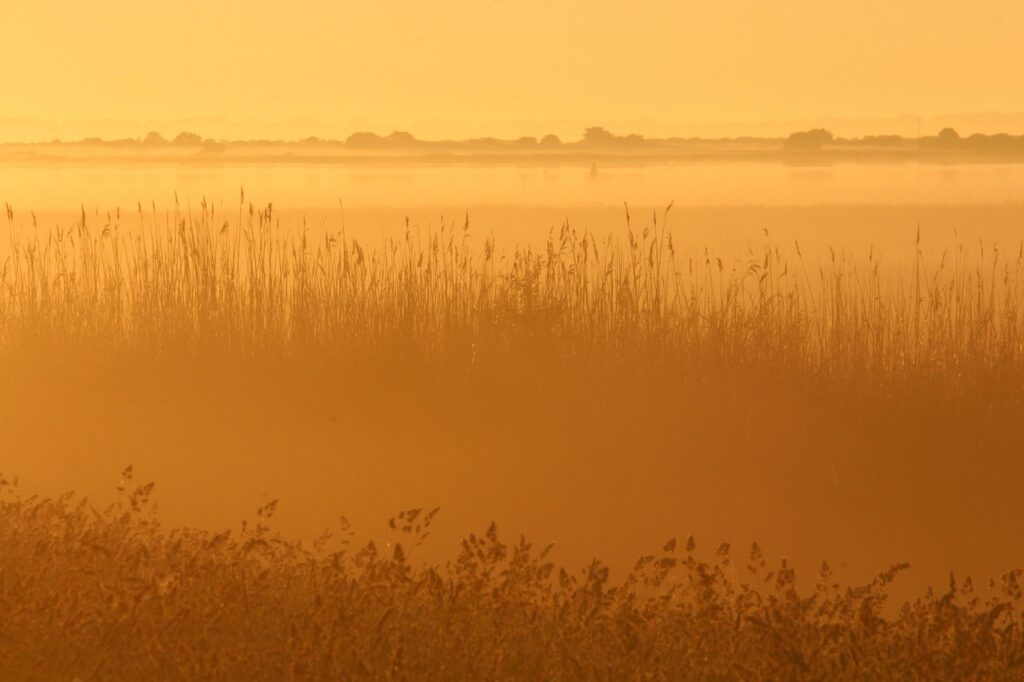 夏フェスで朝一番に荷物預けをするメリットは？