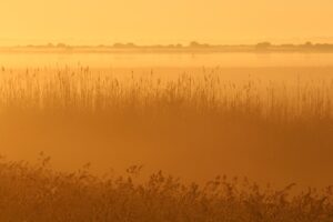夏フェスで朝一番に荷物預けをするメリットは？