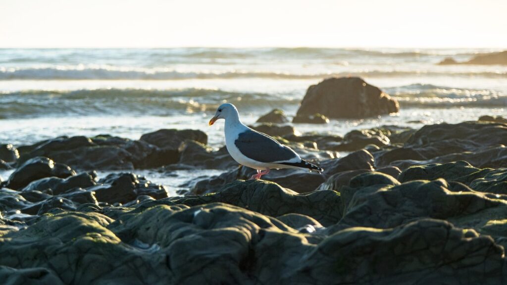 夏フェスで活躍する冷感スプレーのおすすめは？