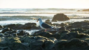 夏フェスで活躍する冷感スプレーのおすすめは？