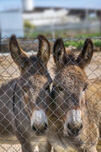 夏フェスに行くために必要なタオルケットは？