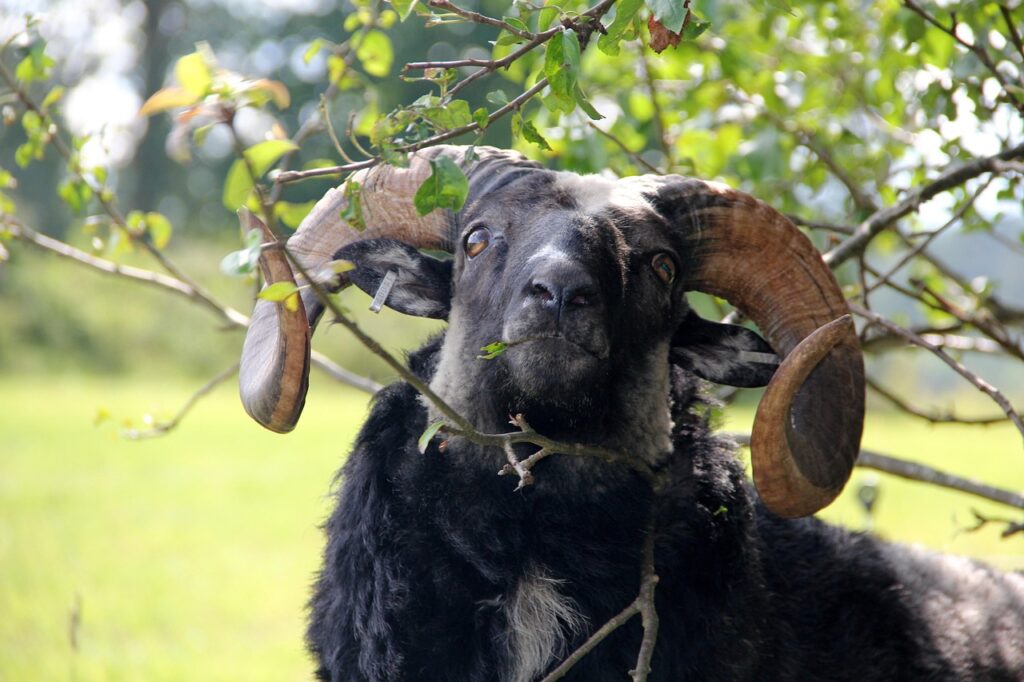 夏フェスでの手荷物の預け方はどうすればいい？