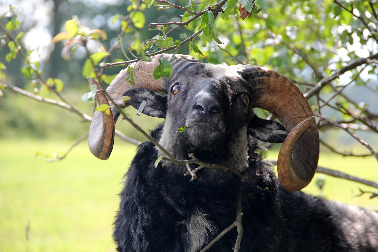 夏フェスでの手荷物の預け方はどうすればいい？