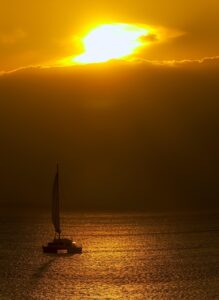 夏フェスに持って行くべき救急セットの中身は？