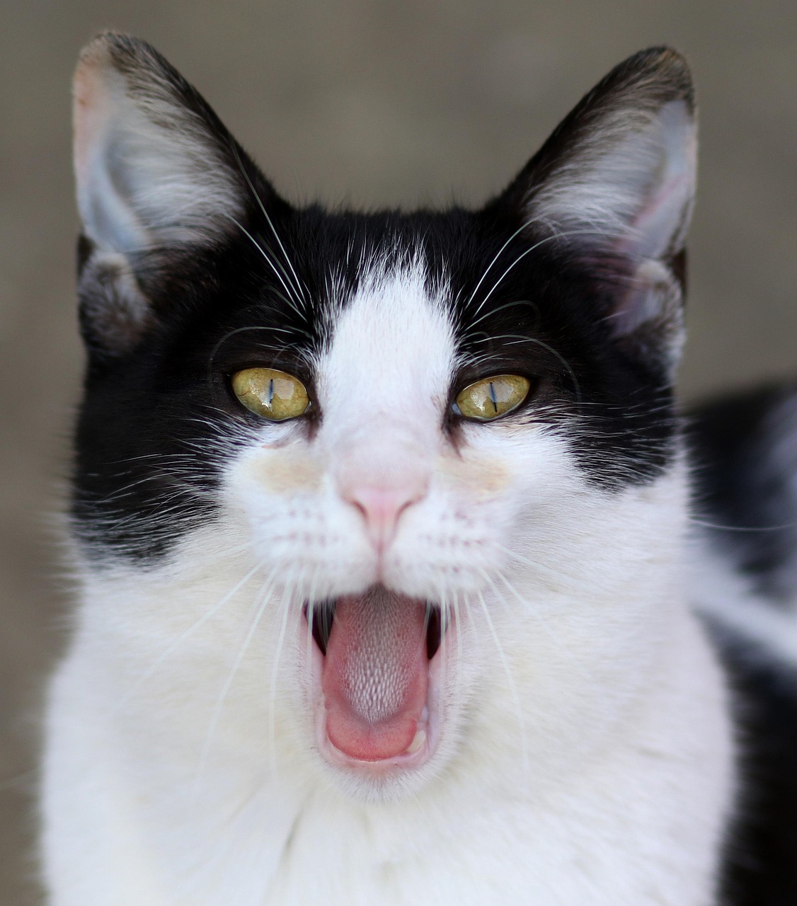 夏フェスで下着の替えは必要？持っていくべき理由とは！