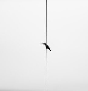 夏フェスに必要な持ち物を最小限に厳選する方法は？