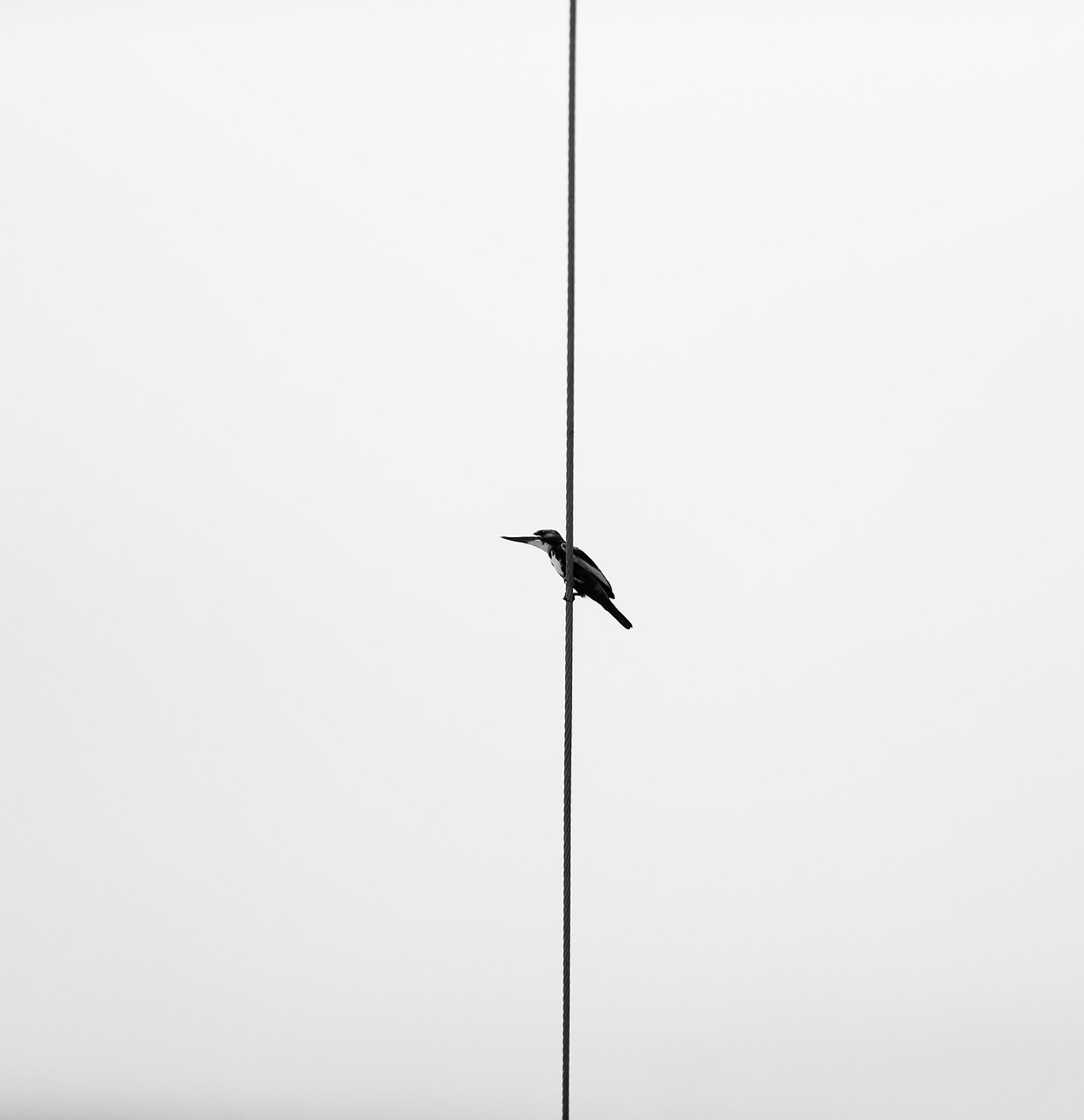 夏フェスに必要な持ち物を最小限に厳選する方法は？