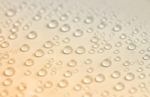 夏フェスに経口補水液を持参する必要がある理由とは？