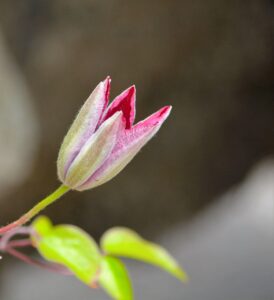夏フェス初心者が知っておくべき場所取りのコツは？