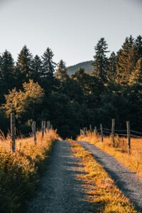 夏フェスに行く際のワークマンおすすめ持ち物は？