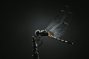 夏フェス当日の服装でよくある失敗とは？