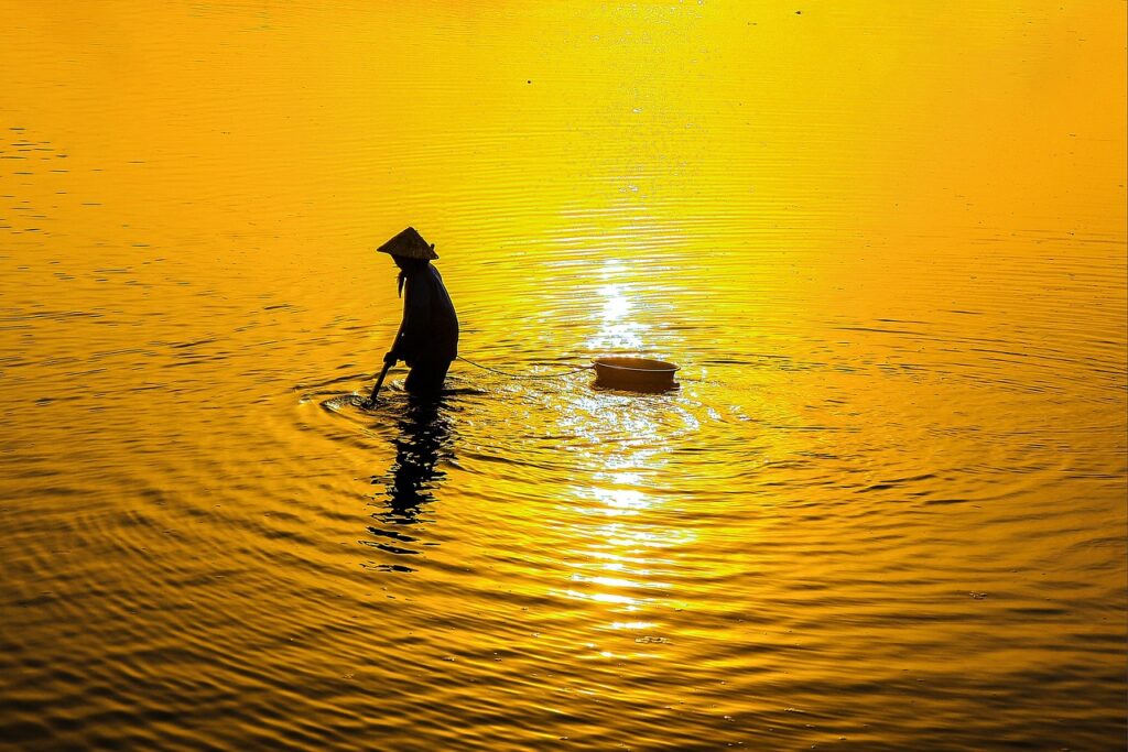 夏フェスで失敗しないための持ち物リストは？