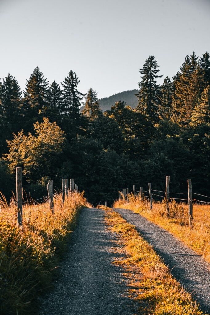 夏フェスに行く前に確認したい持ち物まとめ記事は？