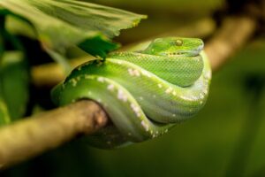 夏フェスでサンダルは危ないのか？