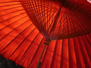 夏フェスで日傘は使えるのか？