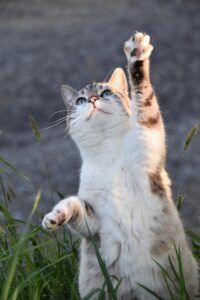 夏フェスに長靴は必要なのか？