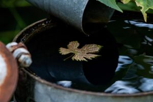 夏フェスに参加する際に水筒は必要か？