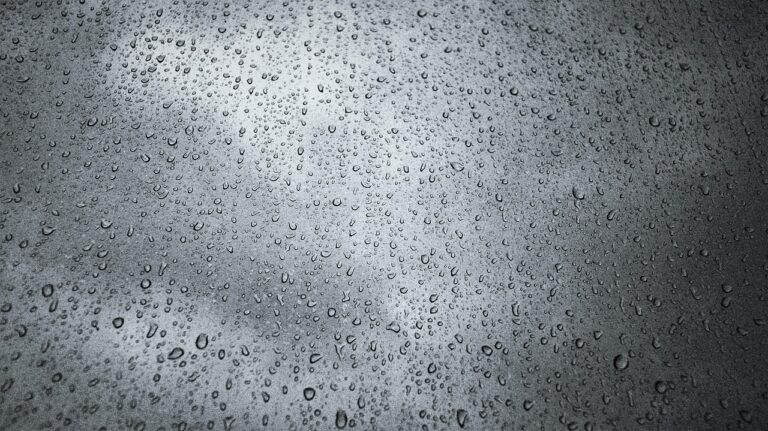 夏フェスで雨が降ったときの対策は何がある？