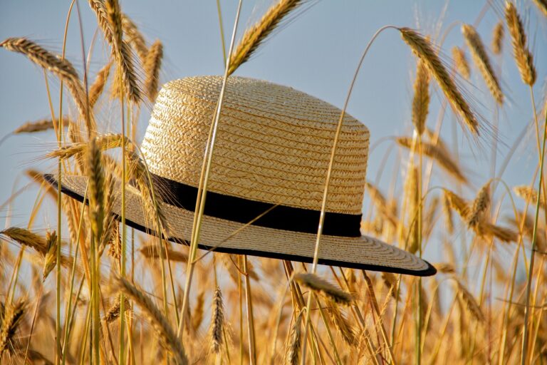 夏フェスに参加する前に知っておくべき注意事項は？