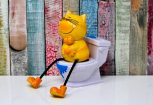 夏フェスでのトイレ対策はこれで決まり！快適に楽しむための必須ポイントは？