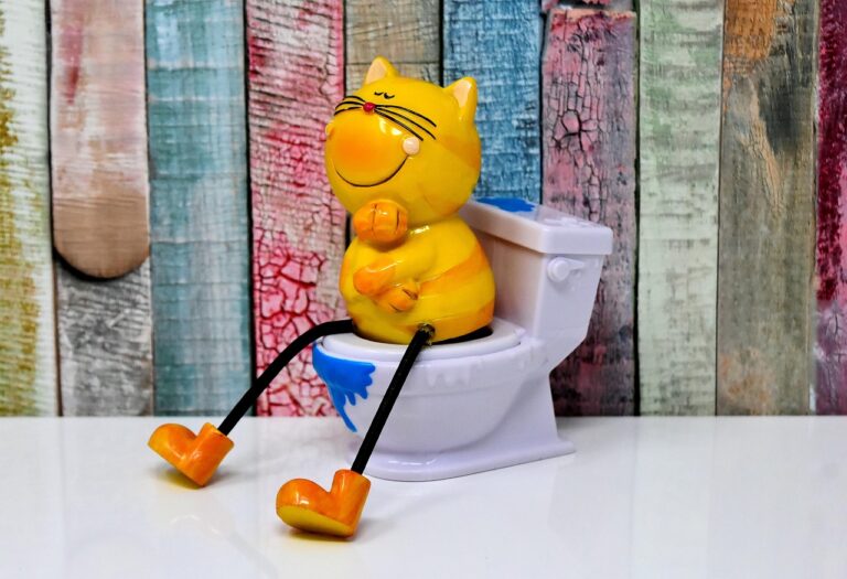夏フェスでのトイレ対策はこれで決まり！快適に楽しむための必須ポイントは？